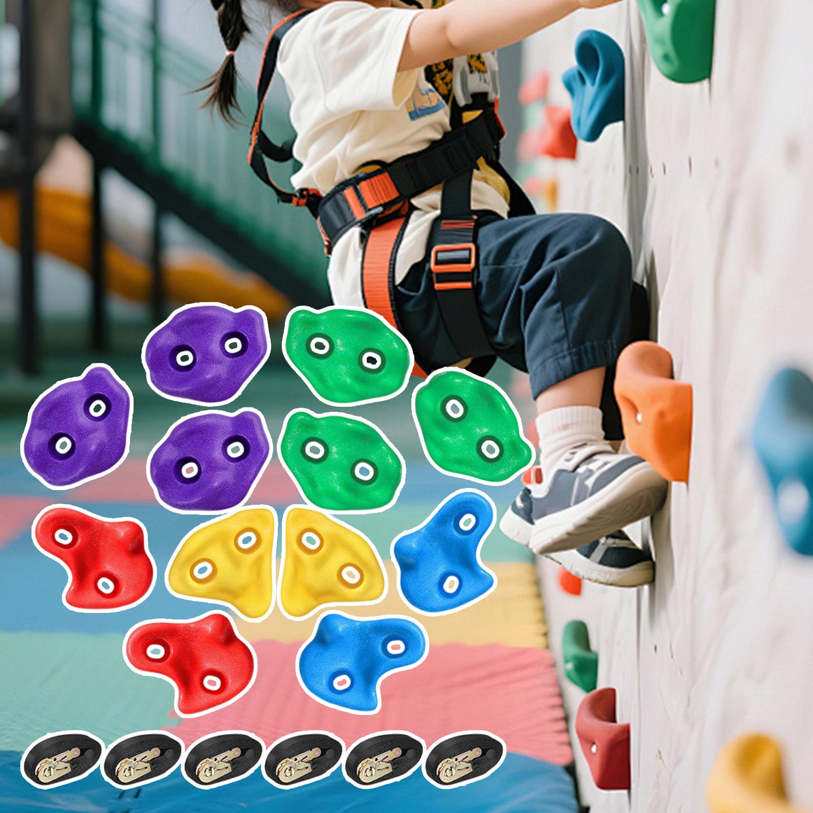 Tree Climbing Holds Adjustable - Heavy Equipment Course 리뷰 및 가격