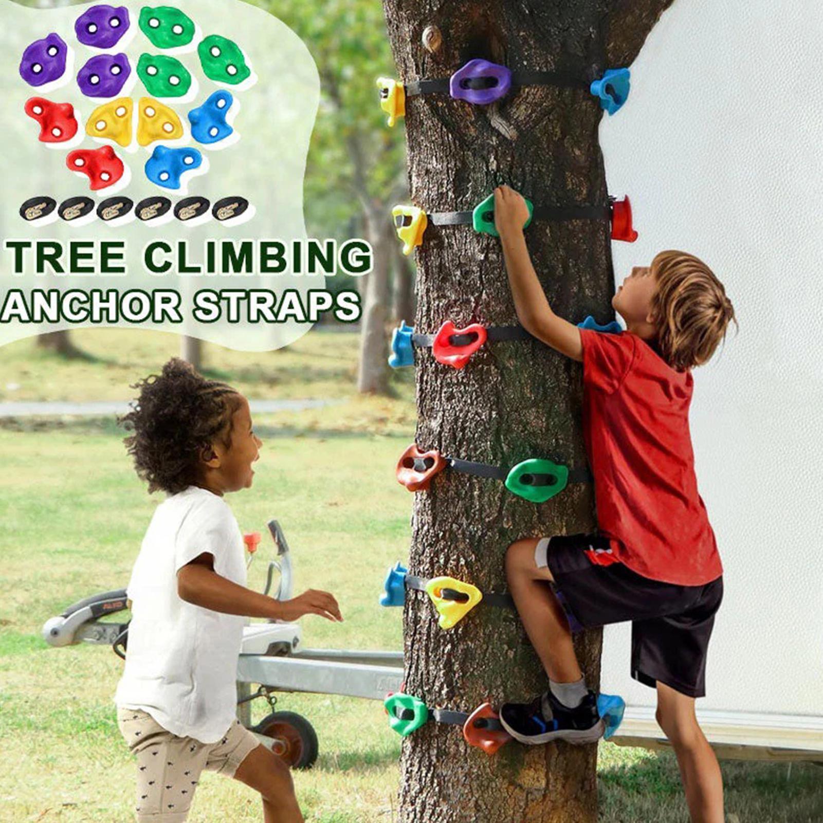 Tree Climbing Equipment Heavy  - Heavy Equipment Course 리뷰 및 가격
