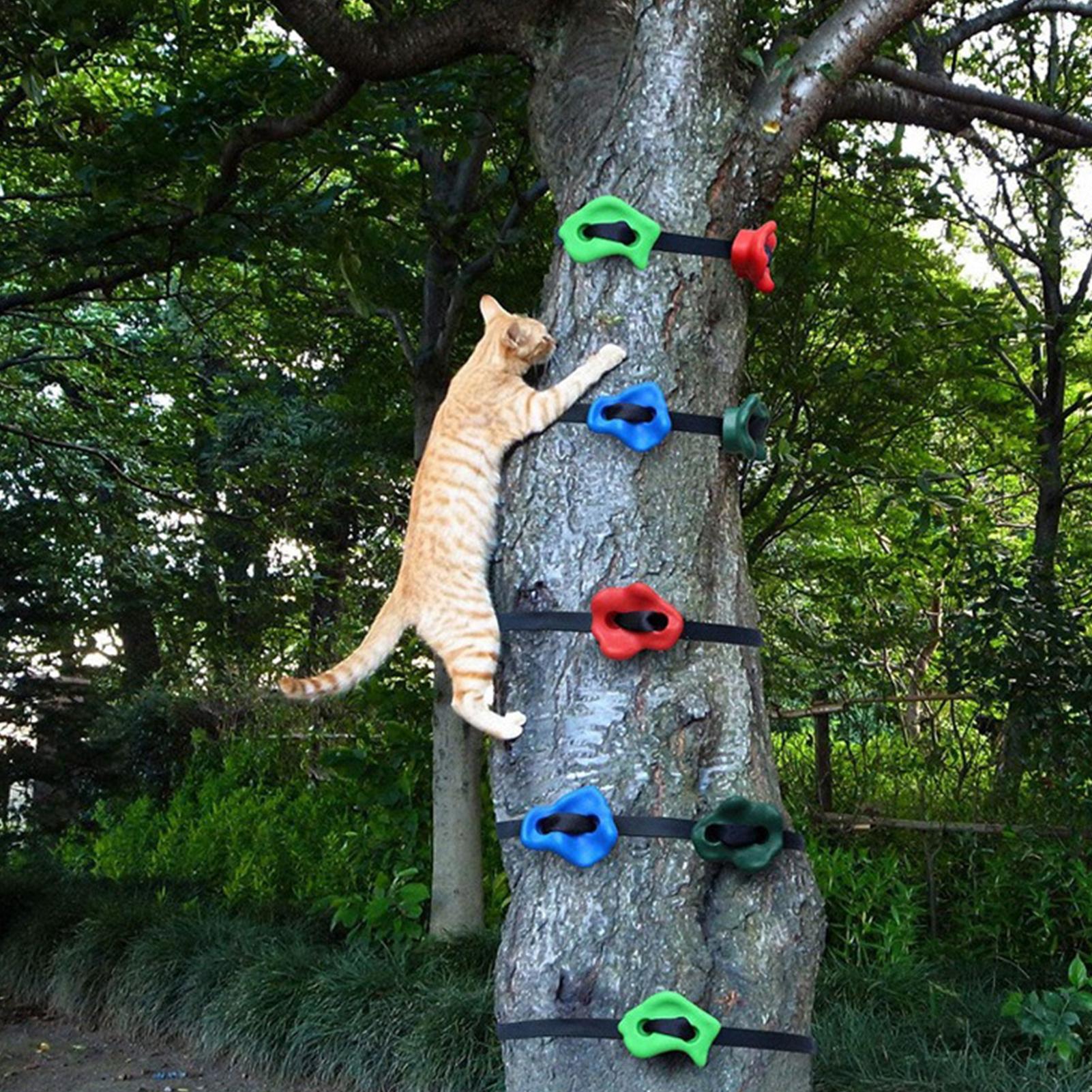 Outdoor Climbing Toys Adjustab - Heavy Equipment Course 리뷰 및 가격