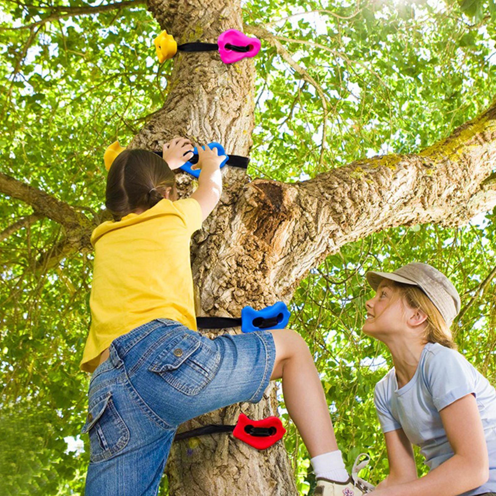 Tree Climbing Gear Adjustable  - Heavy Equipment Course 리뷰 및 가격